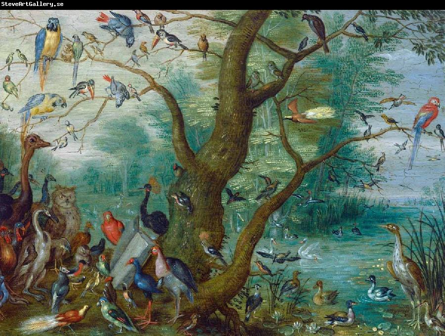 Jan Van Kessel Concert van Vogels